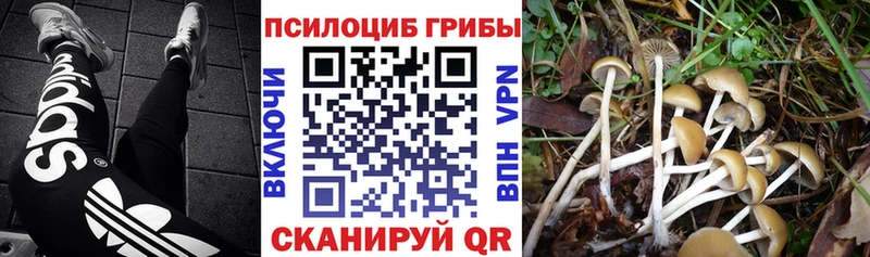 Псилоцибиновые грибы мухоморы  как найти наркотики  кракен как зайти  Демидов 